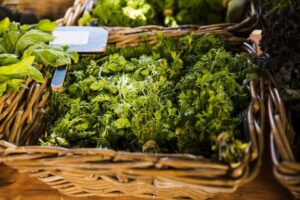 Jamaican cerasee herb for sale