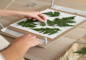 buy neem leaves online